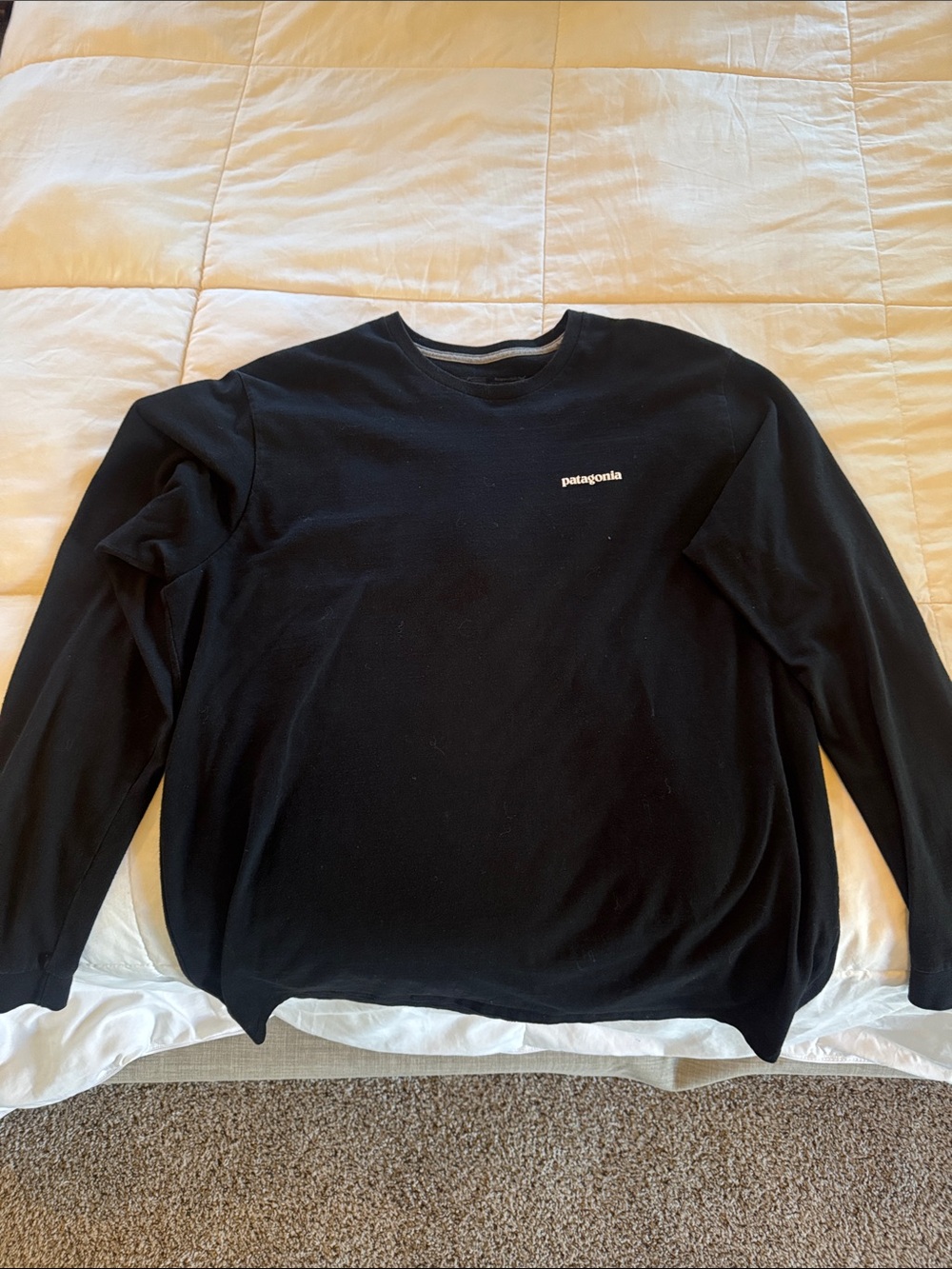 Patagonia Men's Black long sleeve with Small Logo
